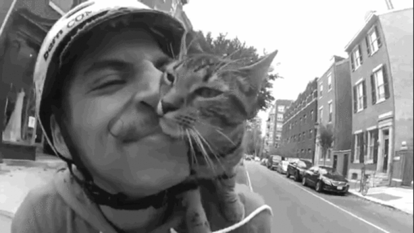 Cyclist and his cat