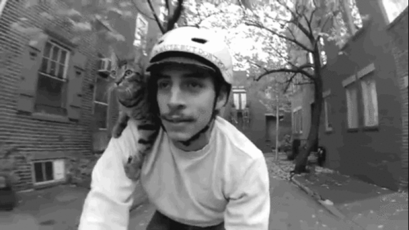 Cyclist and his cat