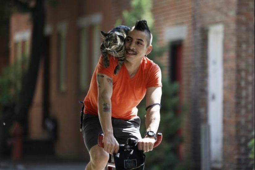 Cyclist and his cat
