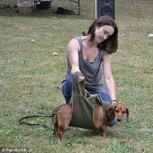 Dachshund que perdió 22 kg