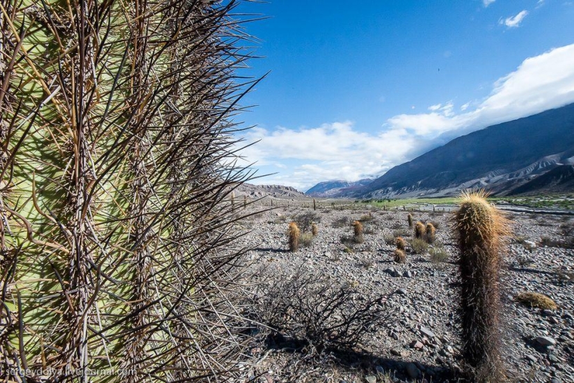 Dakar 2014. Salta, las montañas y el último día en Argentina