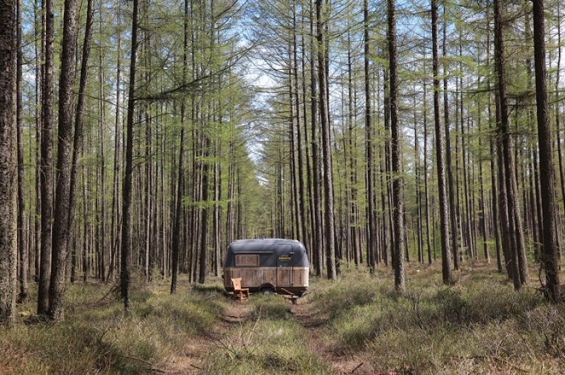 ¡De la oficina al bosque!