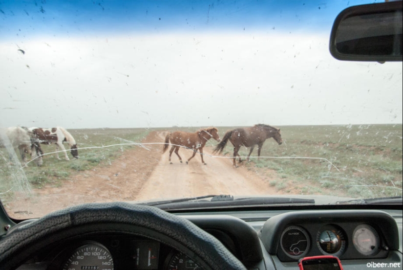 Dead Lake Baskunchak