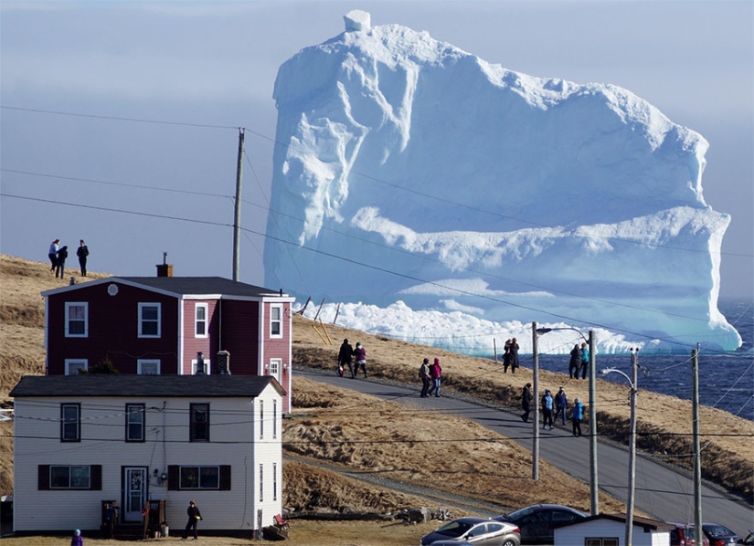 Debido a un enorme iceberg, se están acumulando atascos de tráfico de un kilómetro de largo en un pueblo canadiense