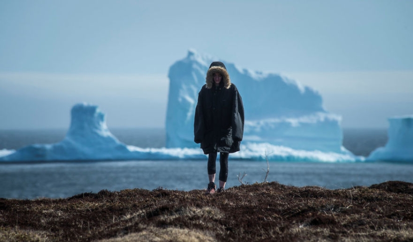 Debido a un enorme iceberg, se están acumulando atascos de tráfico de un kilómetro de largo en un pueblo canadiense