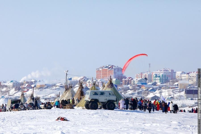 Deer running. Yamal Deer running. Yamal