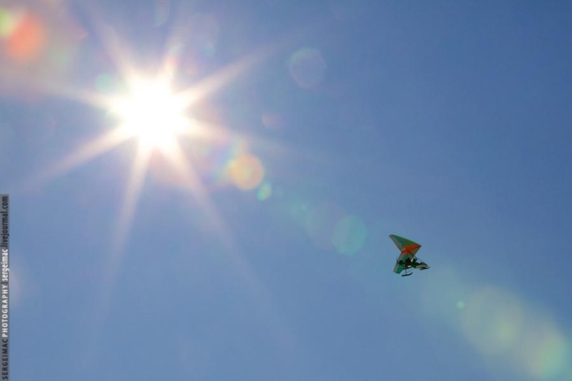 Deer running. Yamal Deer running. Yamal