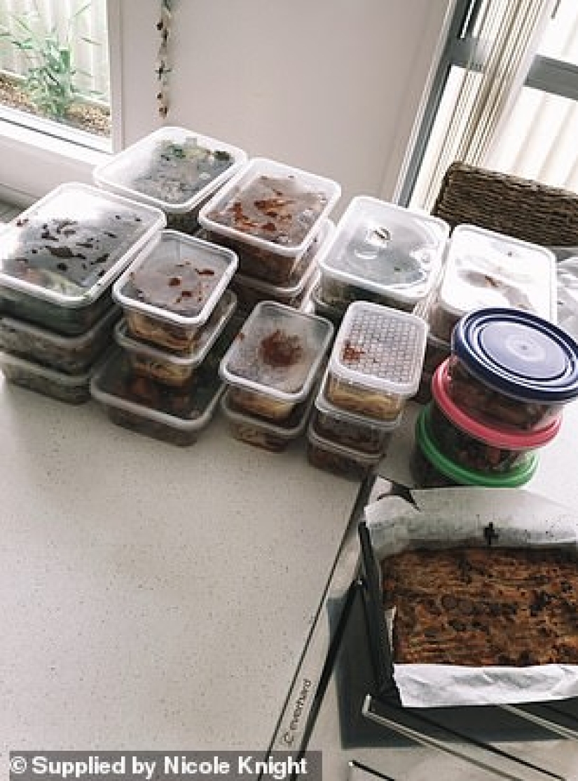 Delicioso, rápido, barato: una madre de dos hijos revela los secretos de su cocina casera
