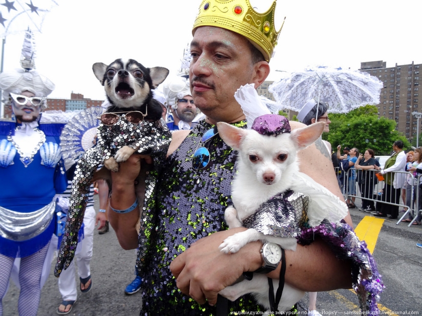 Desfile de sirenas: el buen espectáculo de monstruos de Brooklyn Desfile de sirenas: el buen espectáculo de monstruos de Brooklyn