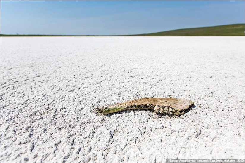 Desiertos de sal de Crimea Desiertos de sal de Crimea