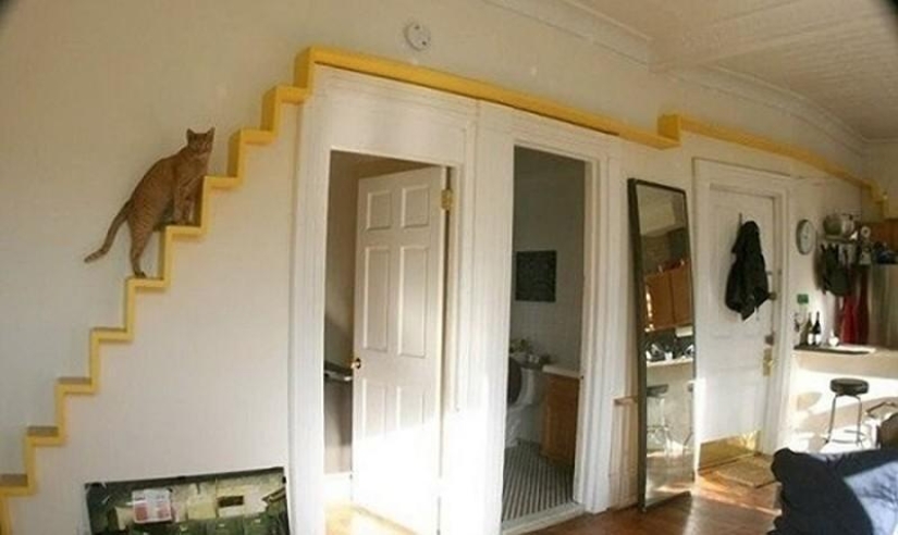 Design for cats Design for cats