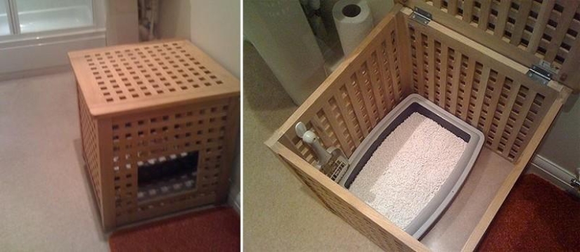 Design for cats Design for cats