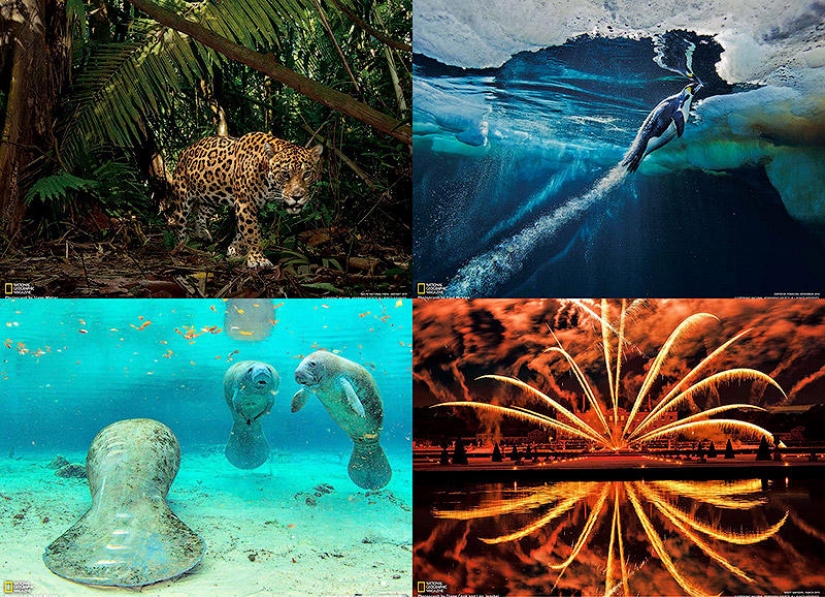 Desktop wallpaper from National Geographic March 2013