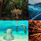 Desktop wallpaper from National Geographic March 2013 Desktop wallpaper from National Geographic March 2013