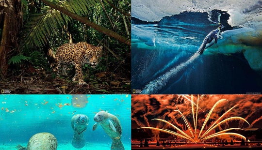 Desktop wallpaper from National Geographic March 2013