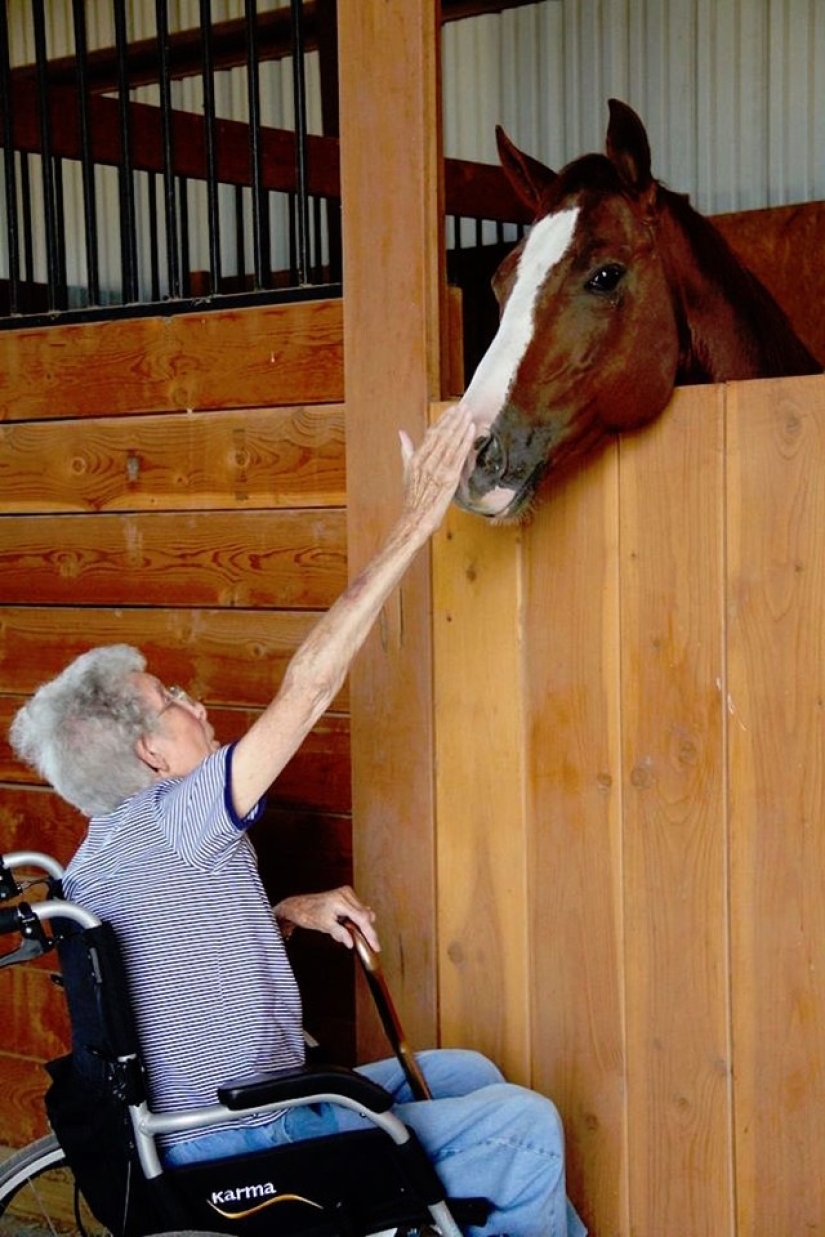 Después de conocer el diagnóstico, rechazó el tratamiento contra el cáncer y se fue de viaje. Después de conocer el diagnóstico, rechazó el tratamiento contra el cáncer y se fue de viaje.