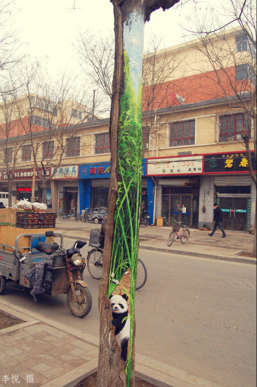 Dibujos en los árboles animan a la gente del pueblo