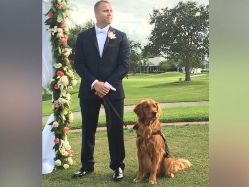 Disabled Veteran Makes His Service Dog Best Man at His Wedding
