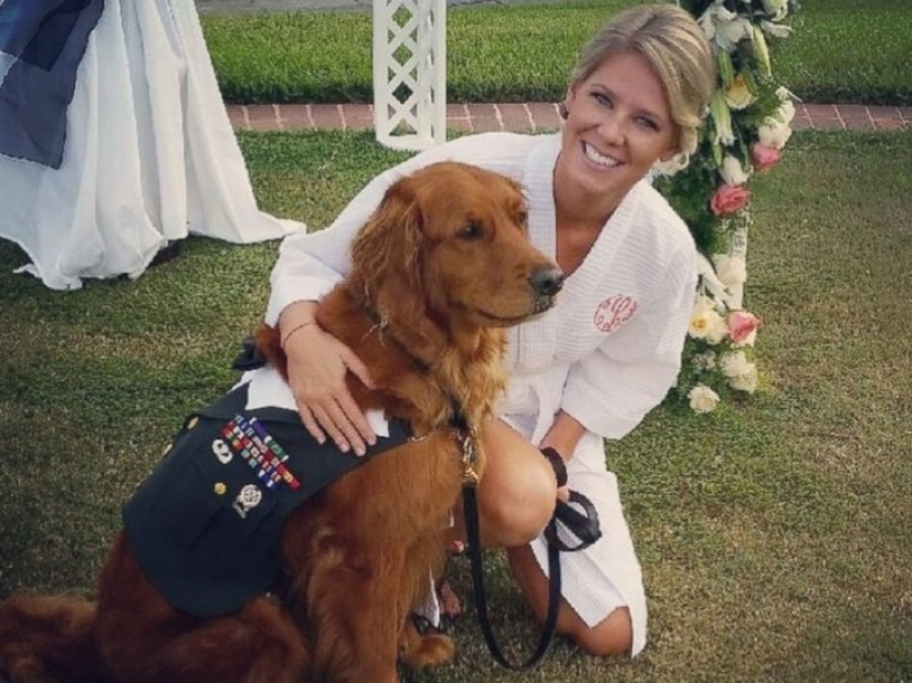 Disabled Veteran Makes His Service Dog Best Man at His Wedding
