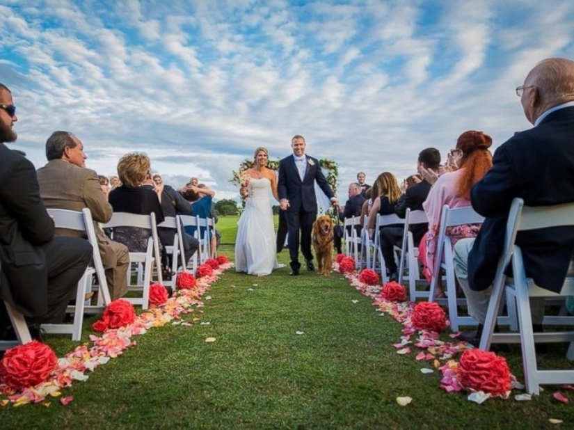 Disabled Veteran Makes His Service Dog Best Man at His Wedding