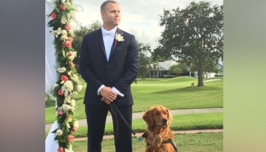 Disabled Veteran Makes His Service Dog Best Man at His Wedding