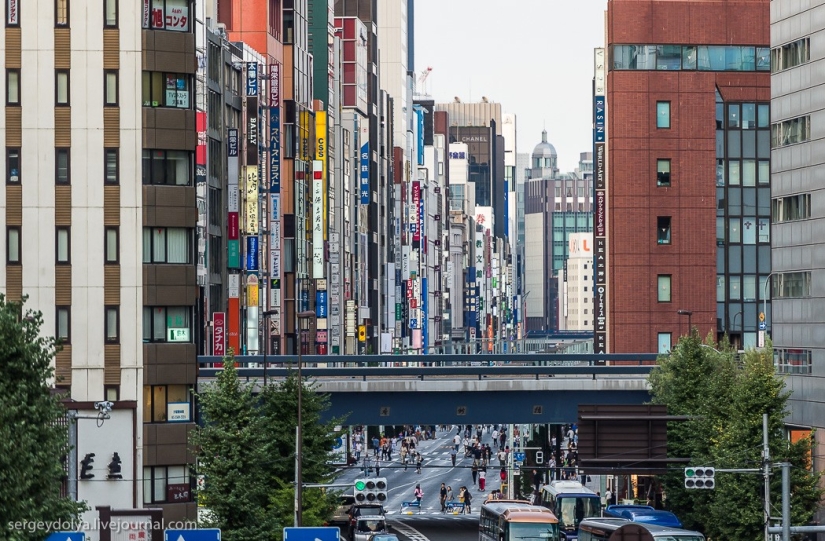 Disappointing Tokyo Disappointing Tokyo