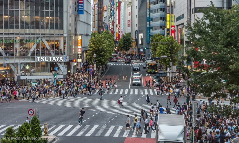 Disappointing Tokyo Disappointing Tokyo