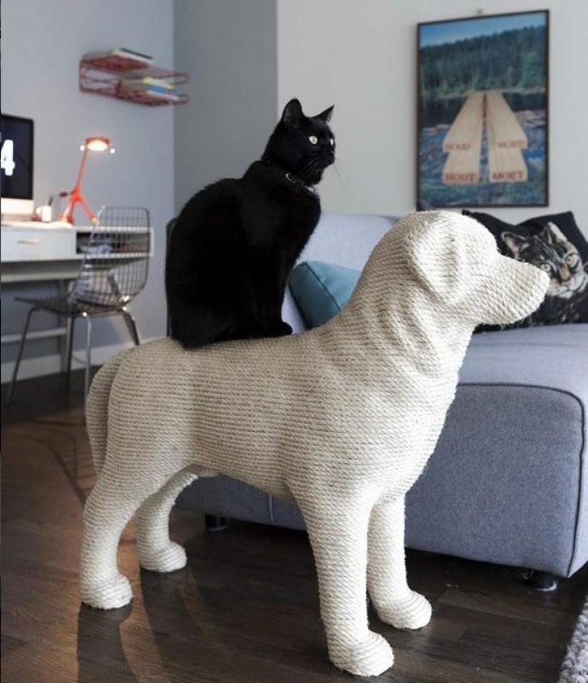 diseño para gatos diseño para gatos