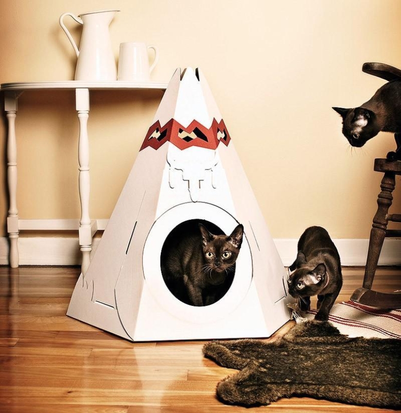 diseño para gatos diseño para gatos