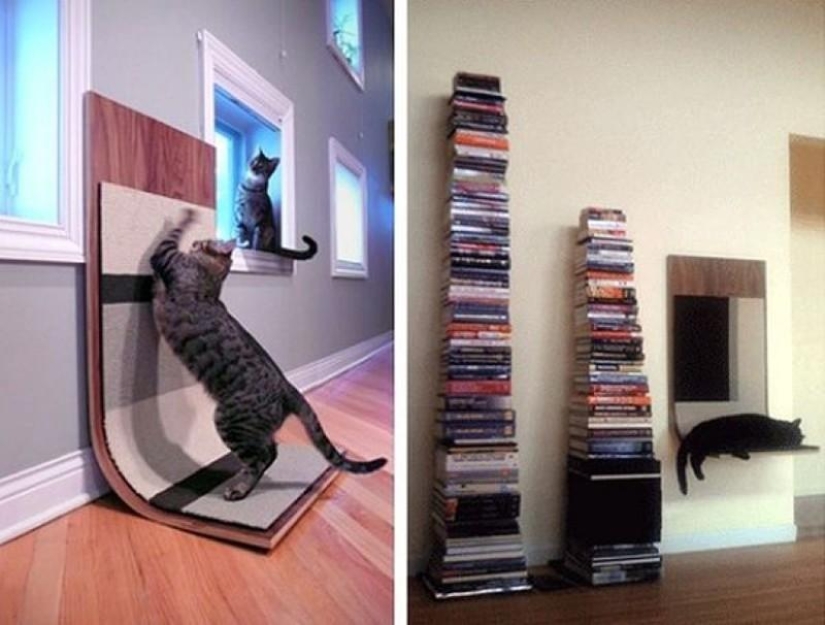 diseño para gatos diseño para gatos