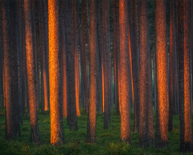 Disfruto capturando la belleza de Finlandia, aquí hay 23 de mis fotos favoritas