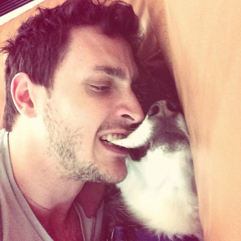 ¡Doctor sexy y su glorioso husky! ¡Doctor sexy y su glorioso husky!