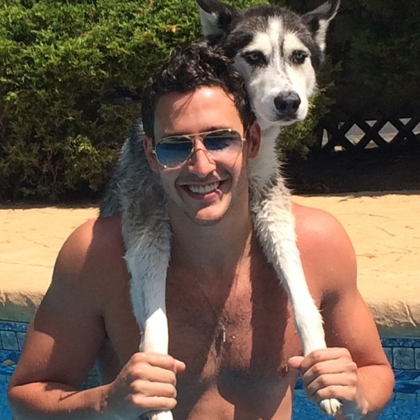 ¡Doctor sexy y su glorioso husky! ¡Doctor sexy y su glorioso husky!