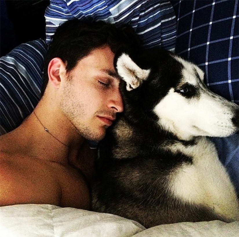 ¡Doctor sexy y su glorioso husky! ¡Doctor sexy y su glorioso husky!