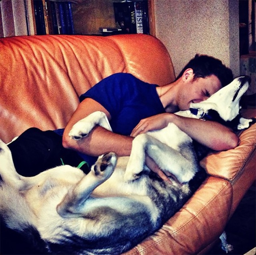 ¡Doctor sexy y su glorioso husky! ¡Doctor sexy y su glorioso husky!