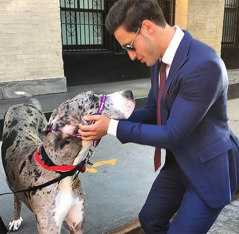 ¡Doctor sexy y su glorioso husky! ¡Doctor sexy y su glorioso husky!