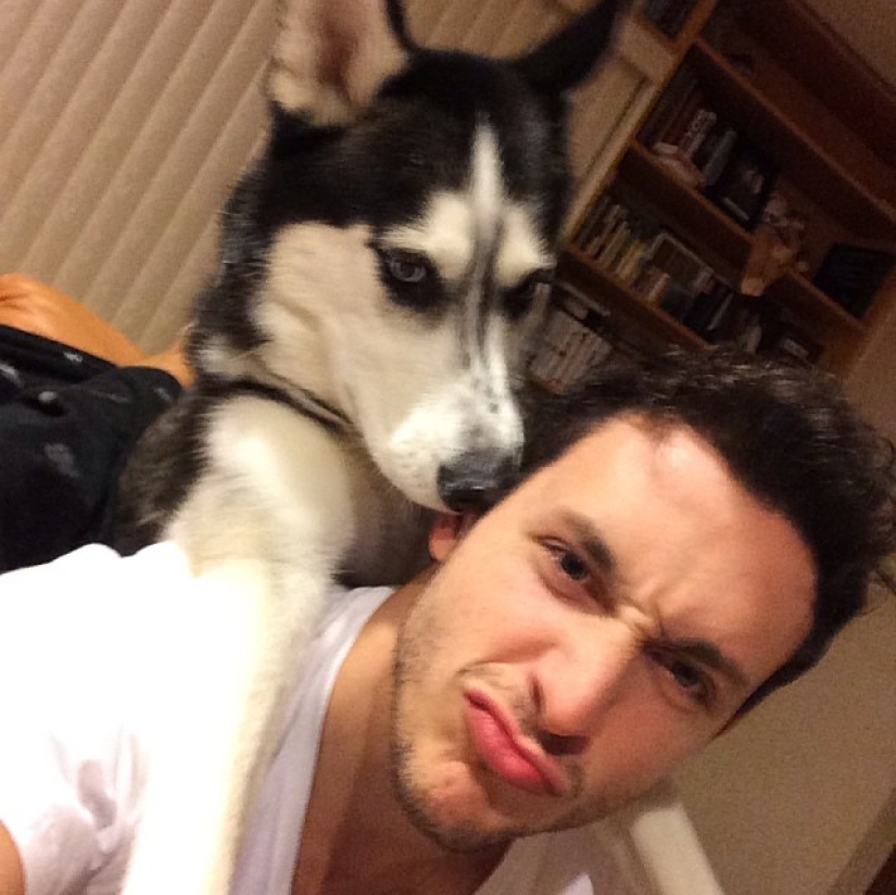 ¡Doctor sexy y su glorioso husky! ¡Doctor sexy y su glorioso husky!