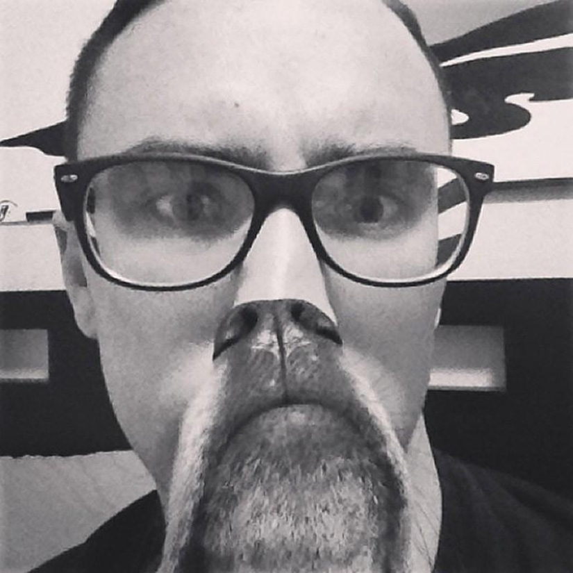 dog beards