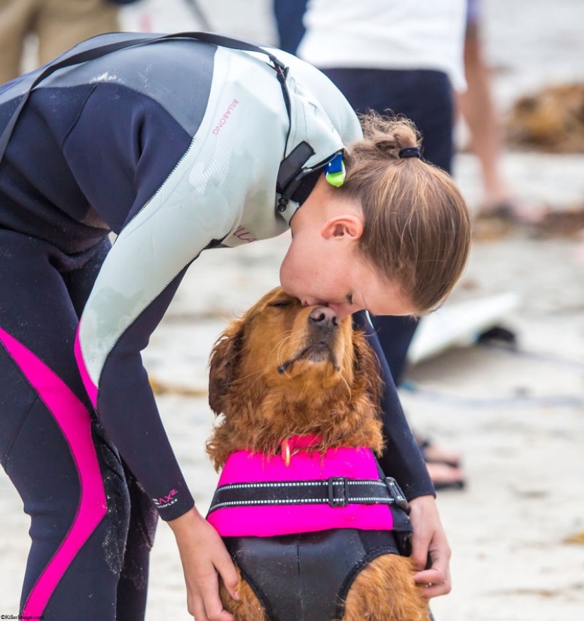 Dog Ricochet surfs with sick people and helps them recover