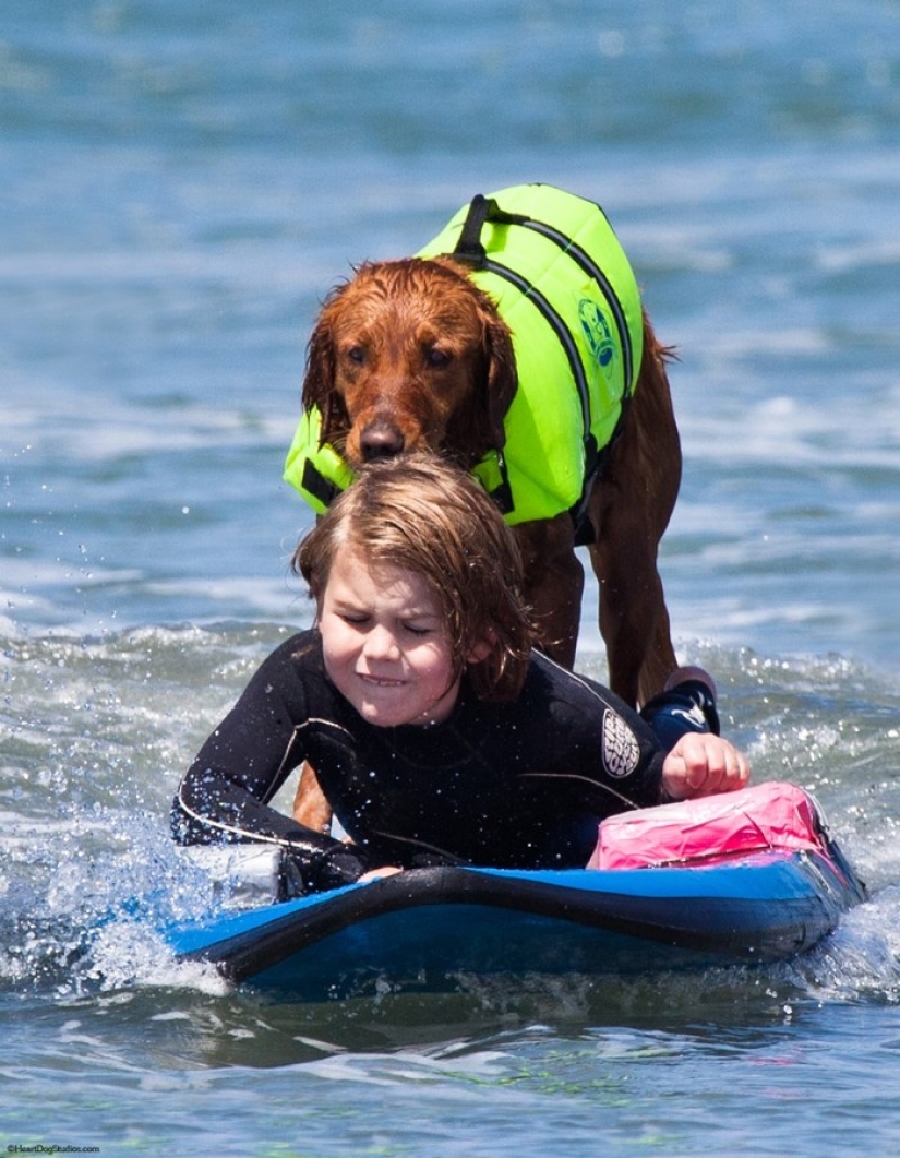 Dog Ricochet surfs with sick people and helps them recover