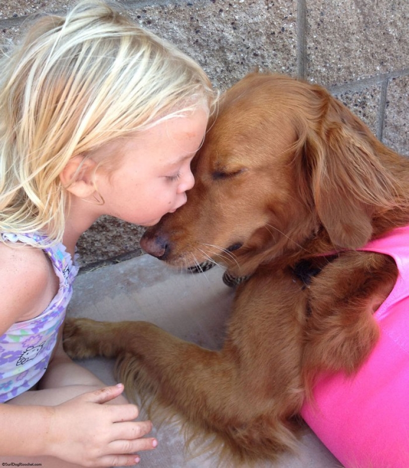 Dog Ricochet surfs with sick people and helps them recover