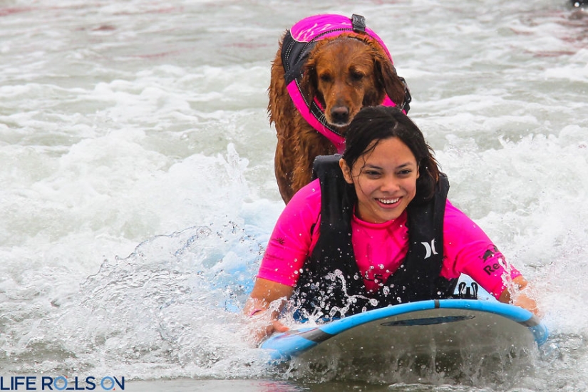 Dog Ricochet surfs with sick people and helps them recover