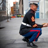 Dog who lost a leg while serving in Afghanistan was awarded a medal