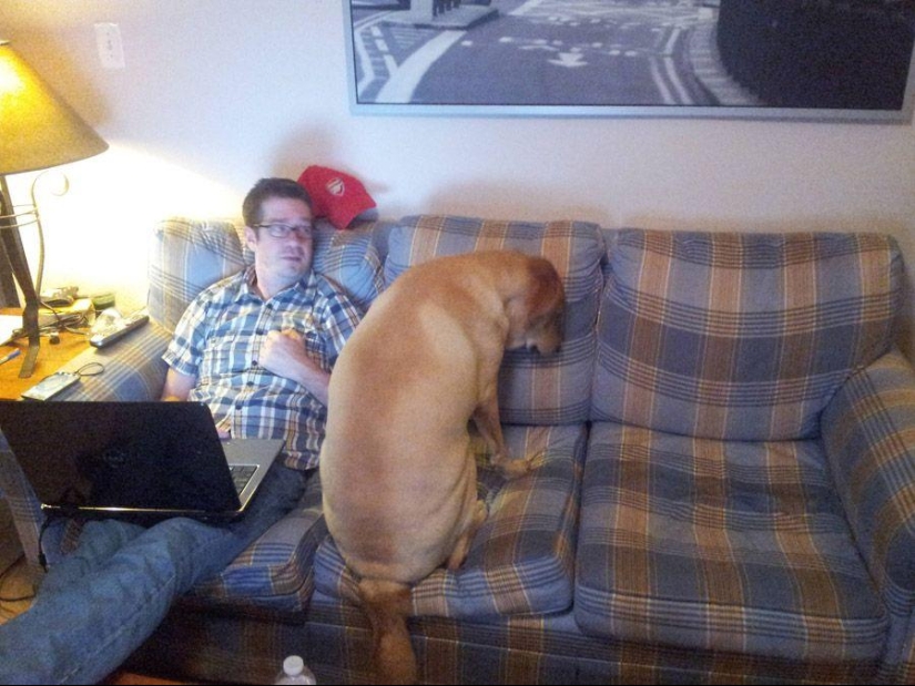 Dog, you&#39;ve got it all mixed up...