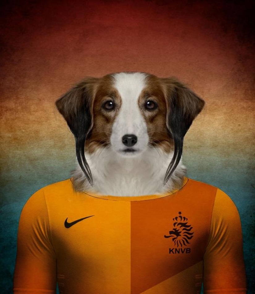 Dogs dressed in the uniforms of the national teams of the world