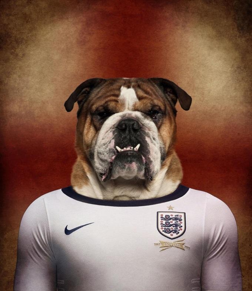 Dogs dressed in the uniforms of the national teams of the world