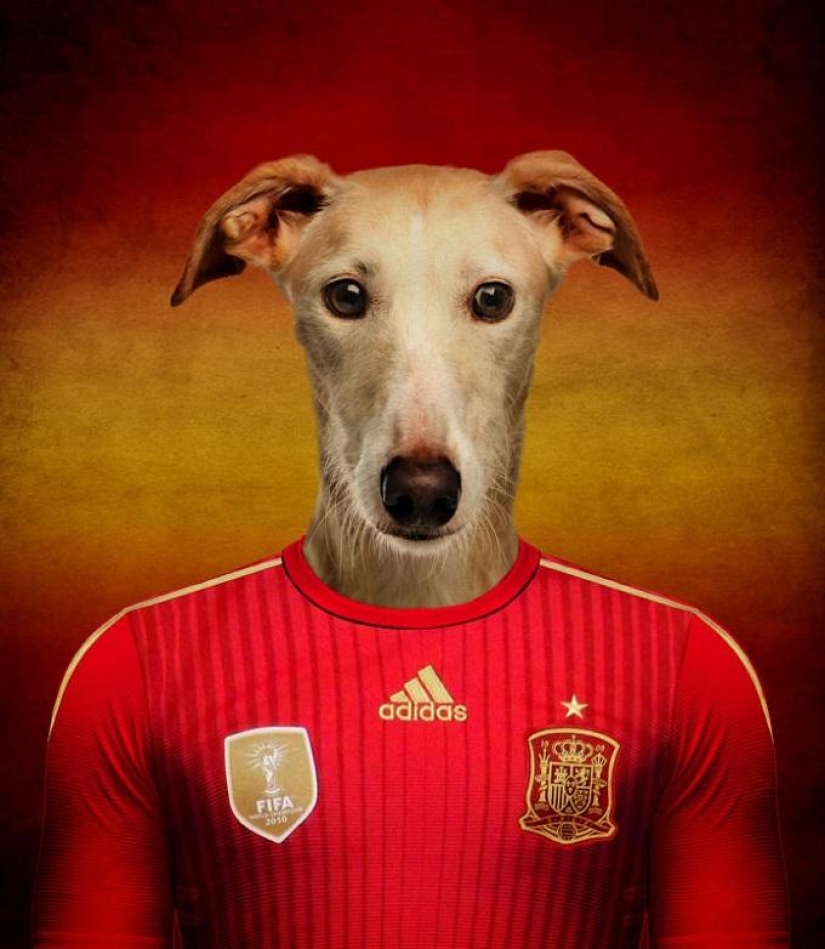Dogs dressed in the uniforms of the national teams of the world