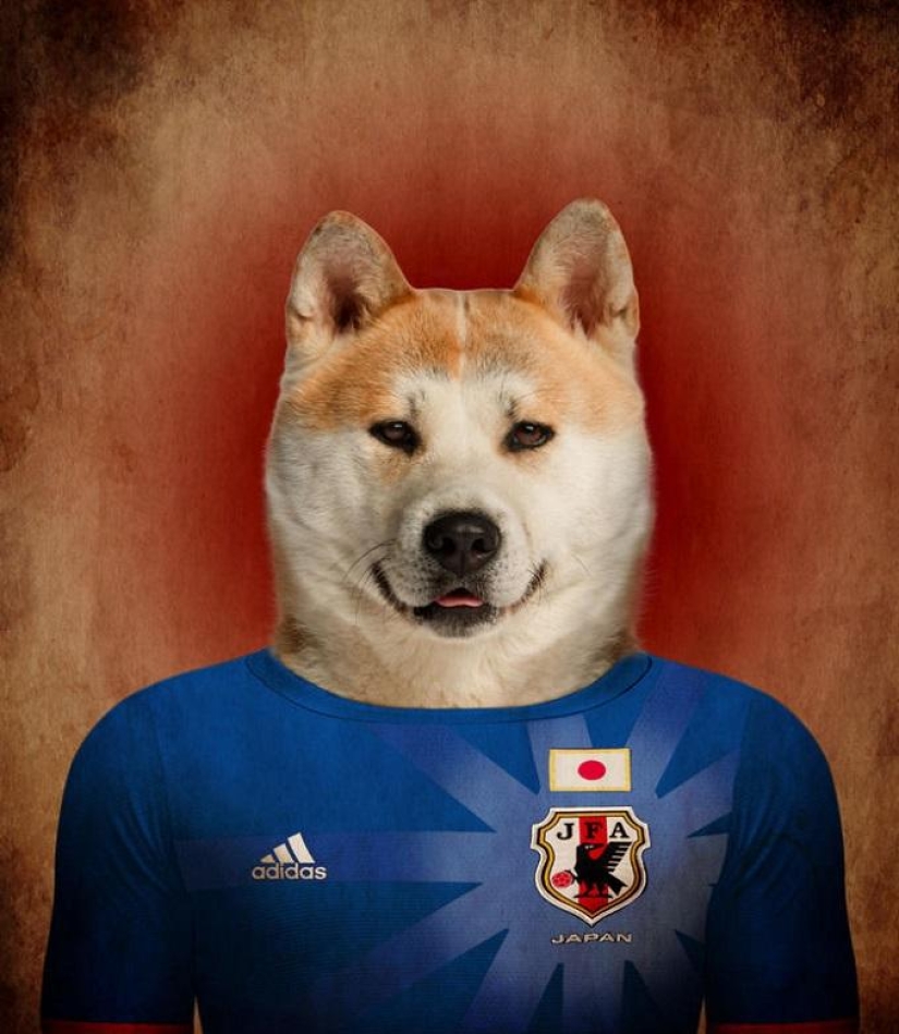 Dogs dressed in the uniforms of the national teams of the world