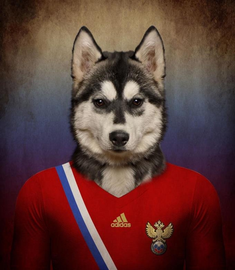Dogs dressed in the uniforms of the national teams of the world