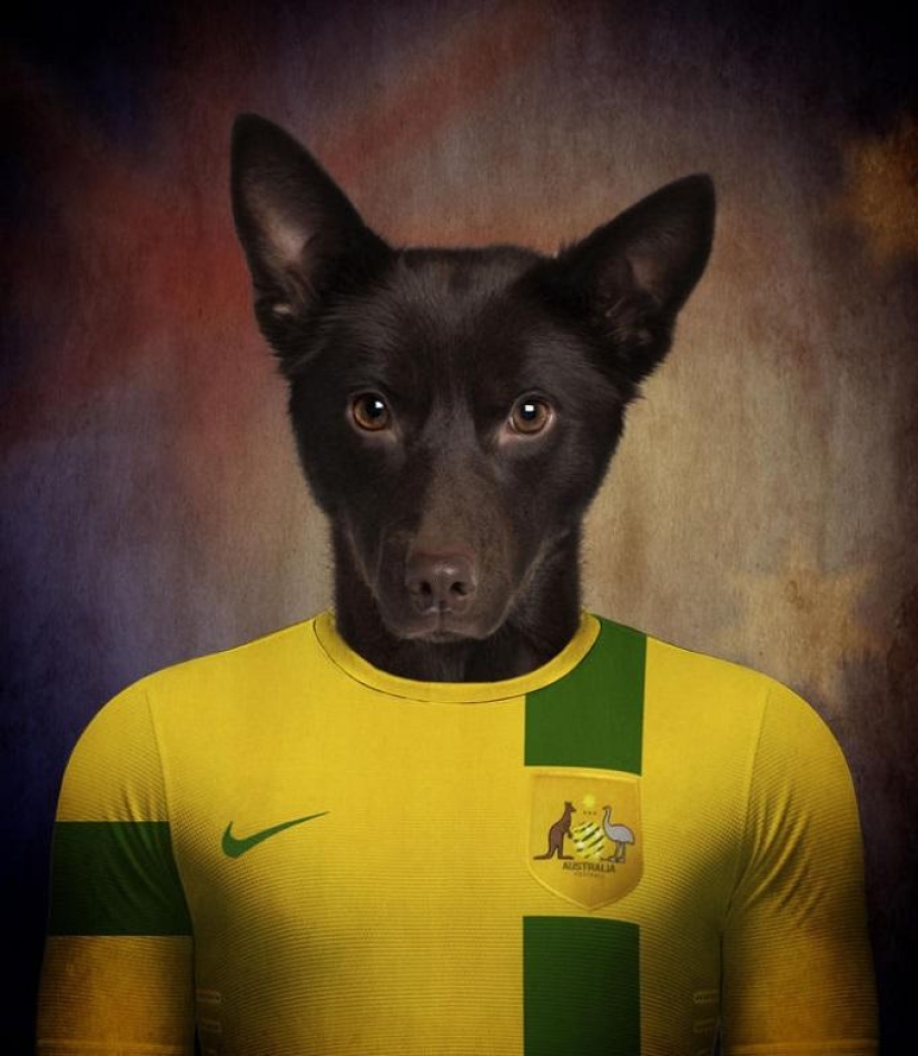 Dogs dressed in the uniforms of the national teams of the world